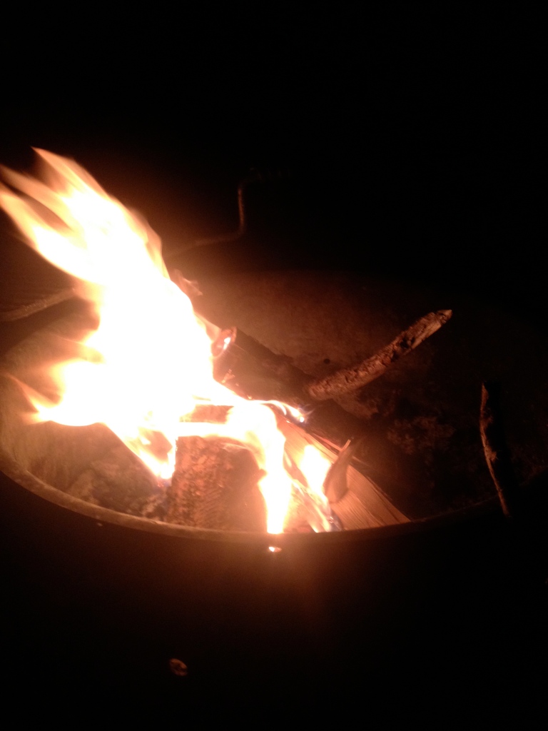 phallic log camp fire